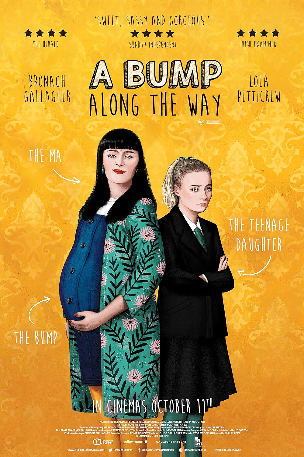 A Bump Along the Way (2020)