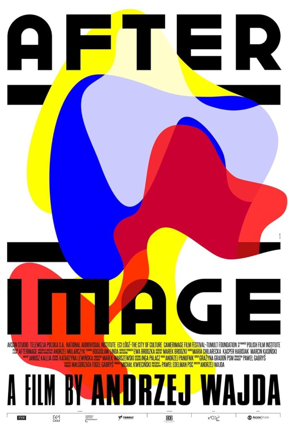 Afterimage (2017)