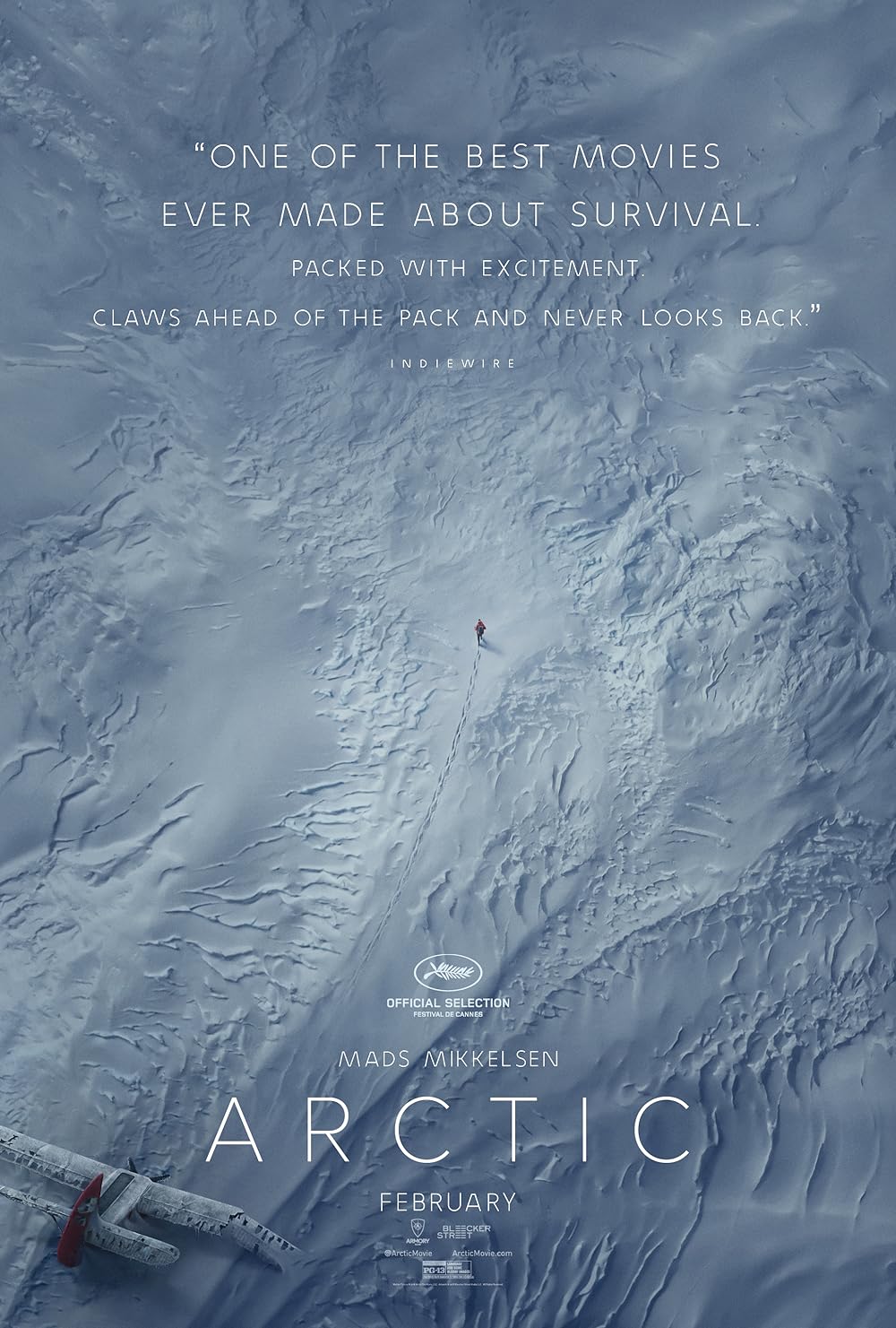 Arctic (2019)