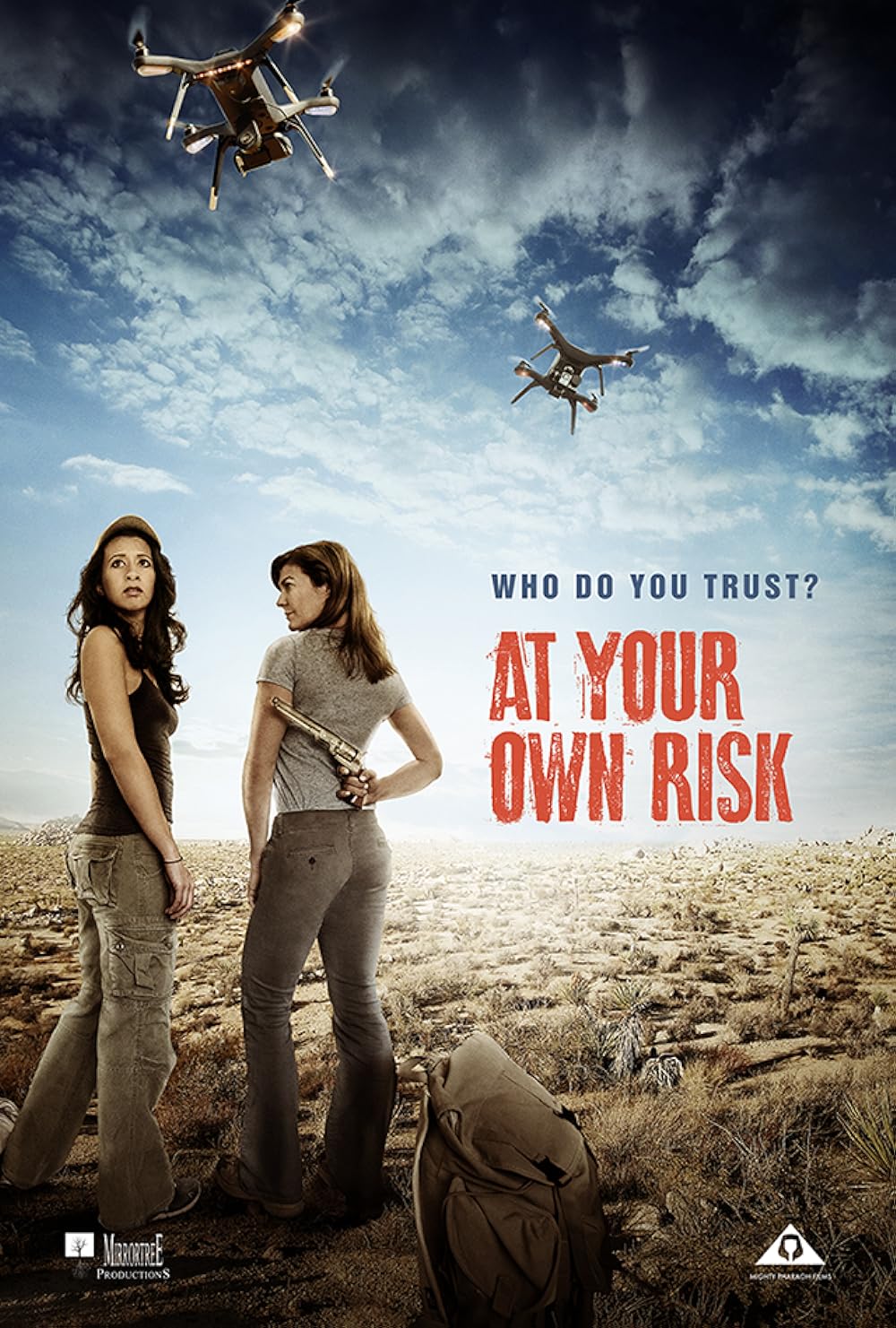 At Your Own Risk (2018)