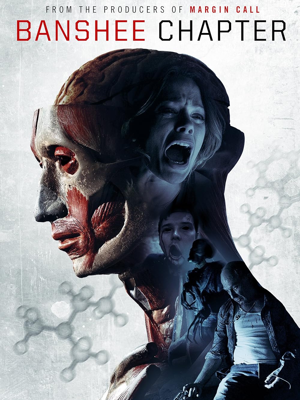 Banshee Chapter (2013)