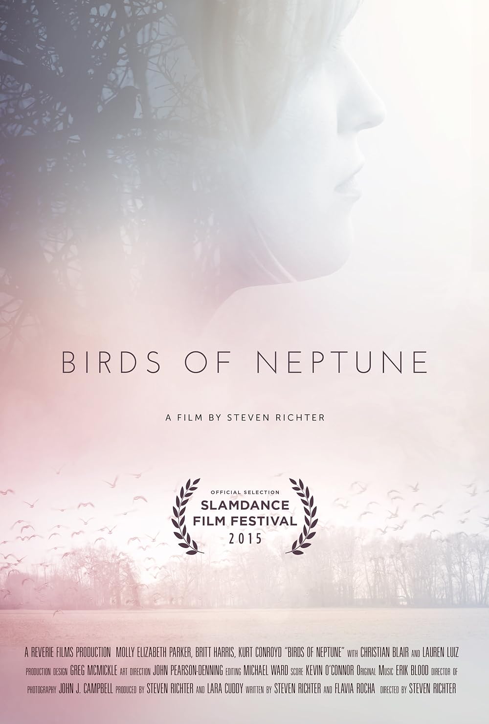 Birds of Neptune (2016)