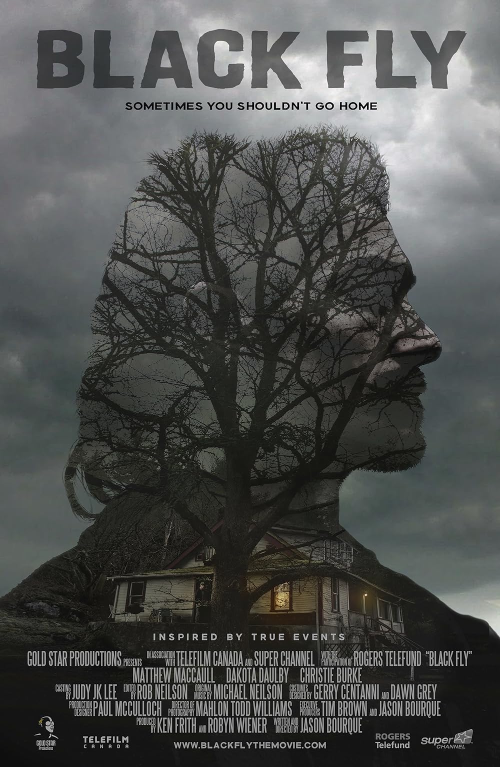 Black Fly (2015)