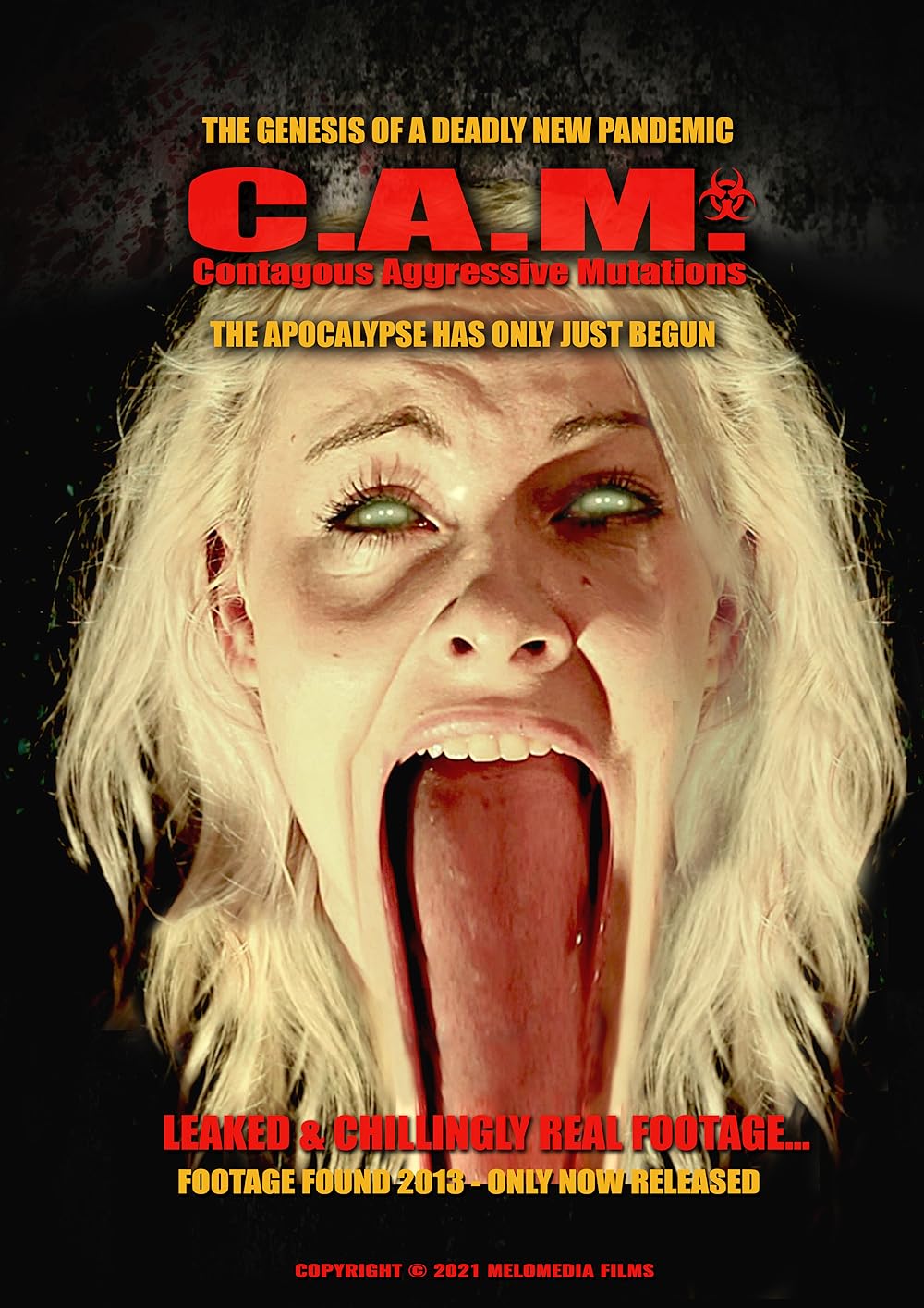 C.A.M. (2021)