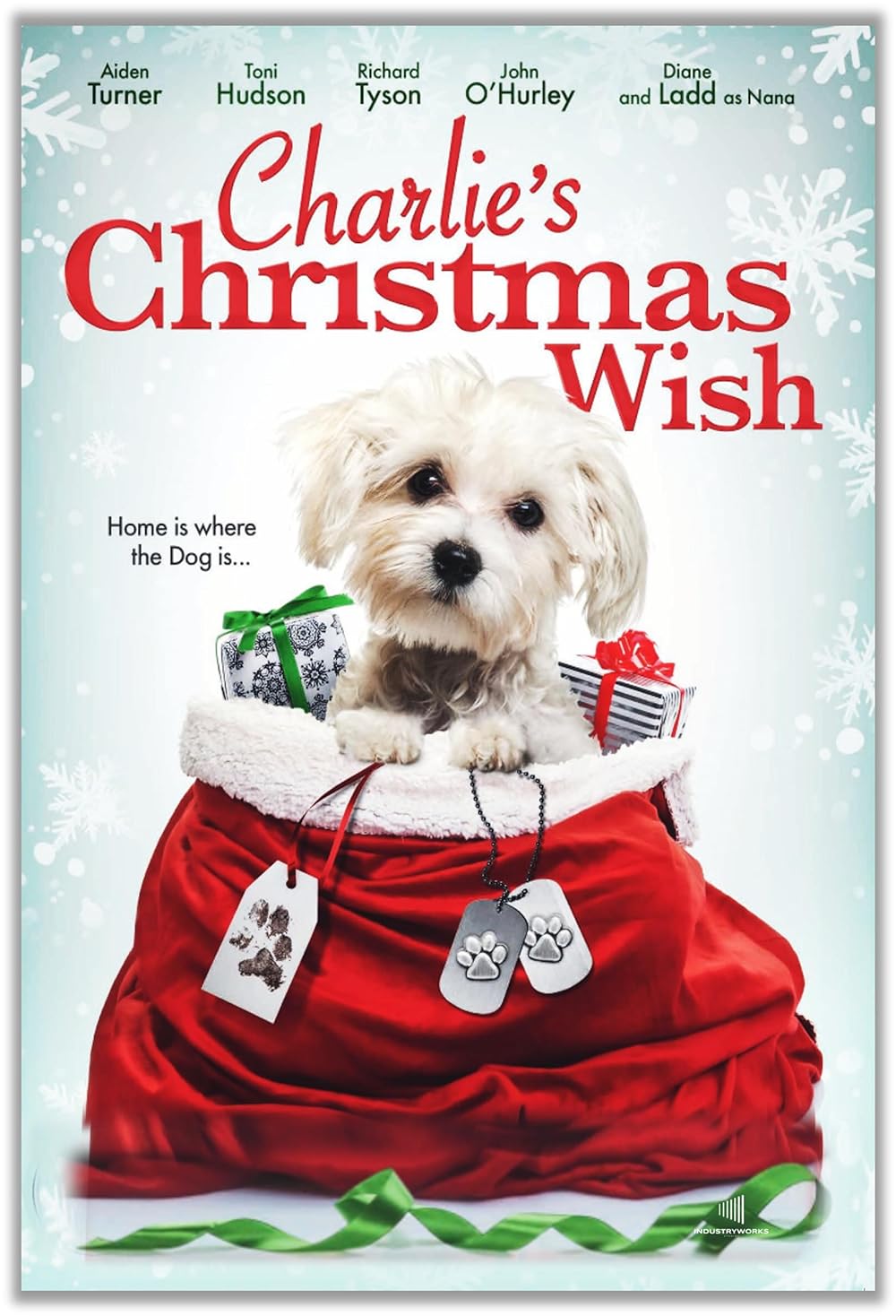 Charlie's Christmas Wish (2021)