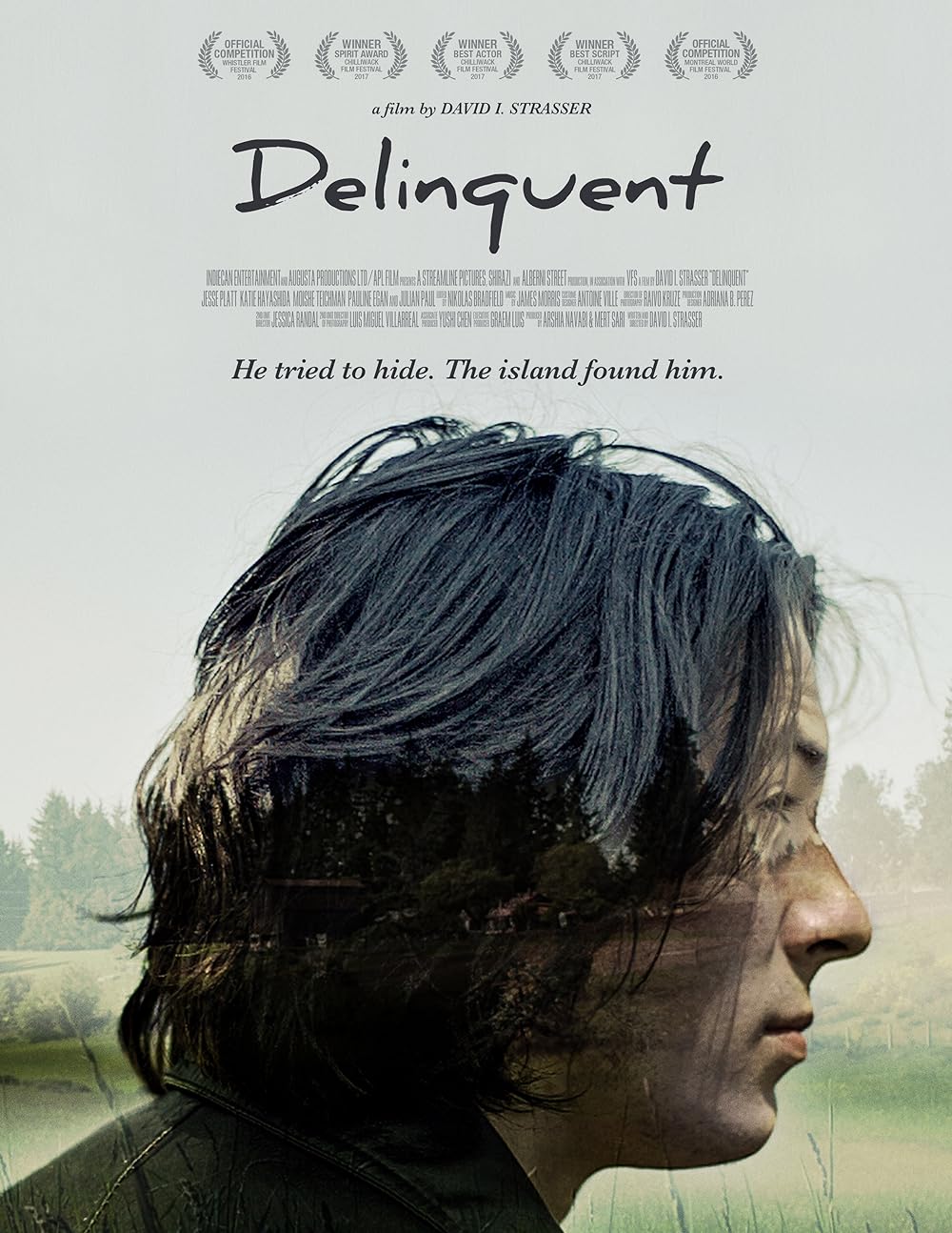 Delinquent (2016)