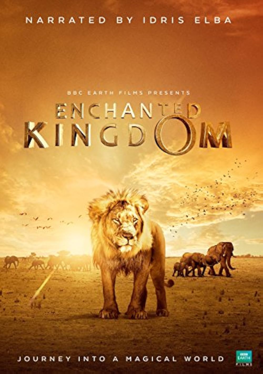 Enchanted Kingdom (2014)