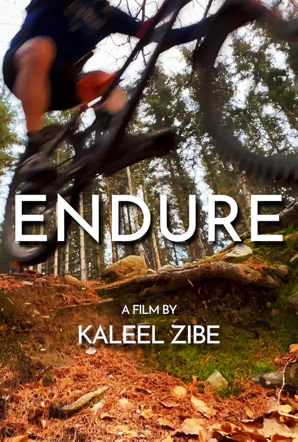 Endure (2024)