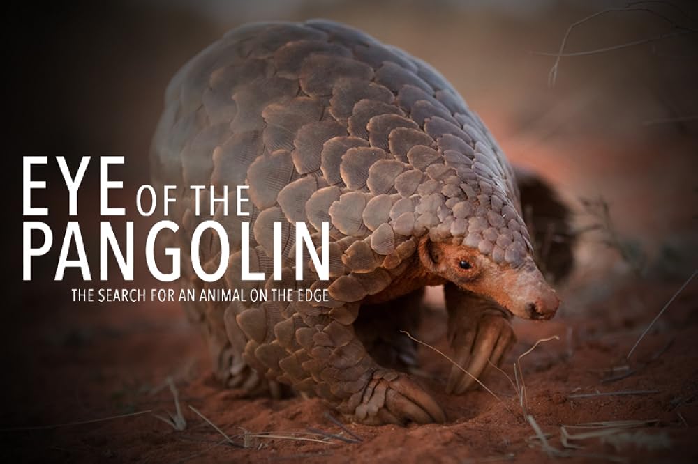 Eye of the Pangolin (2019)