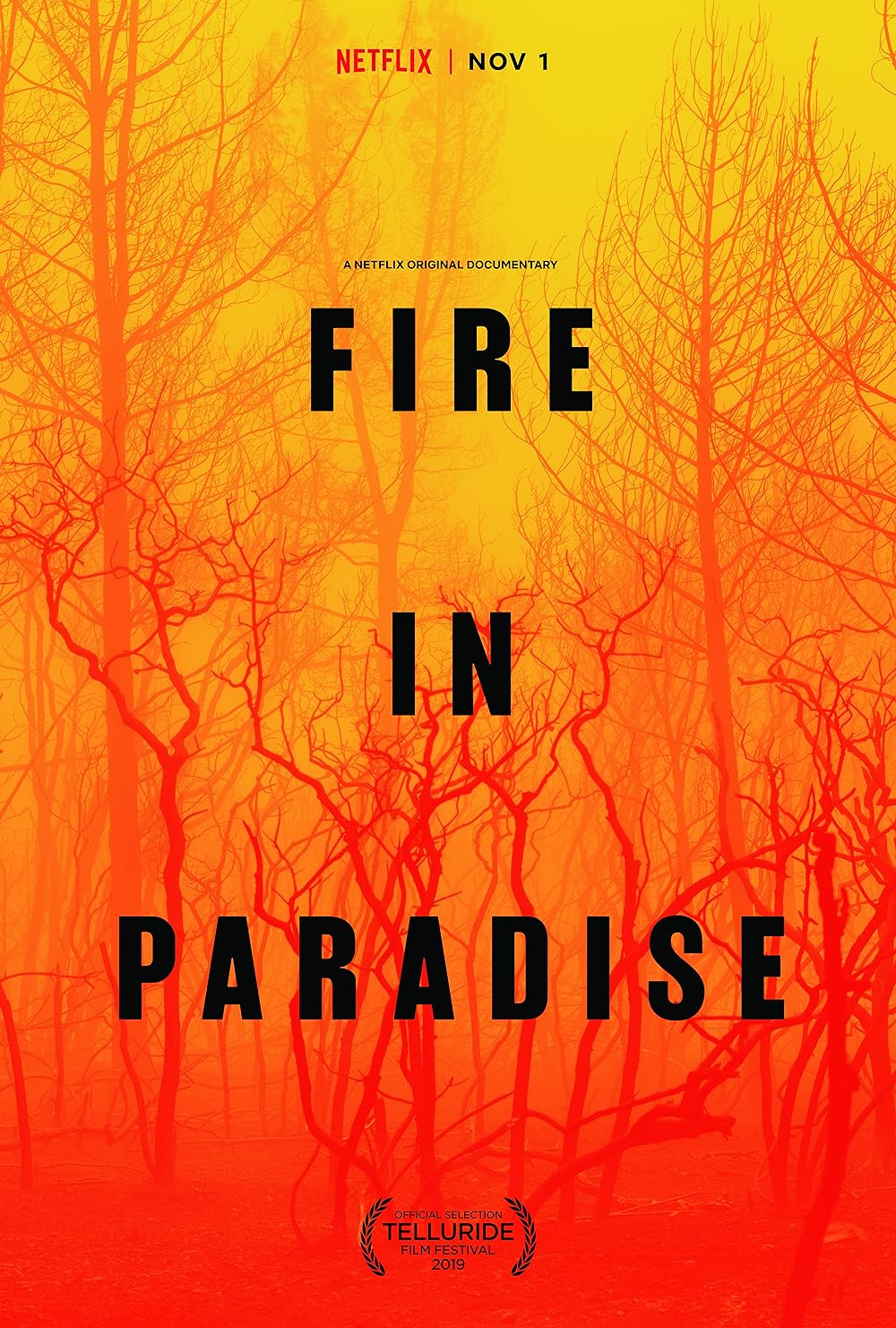 Fire in Paradise (2019)