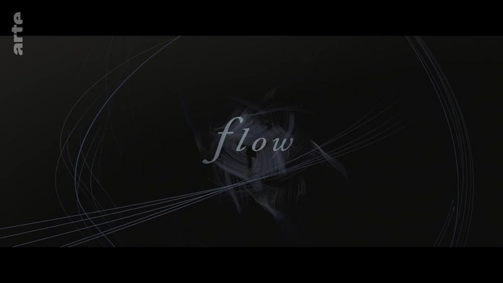 Flow (2019)