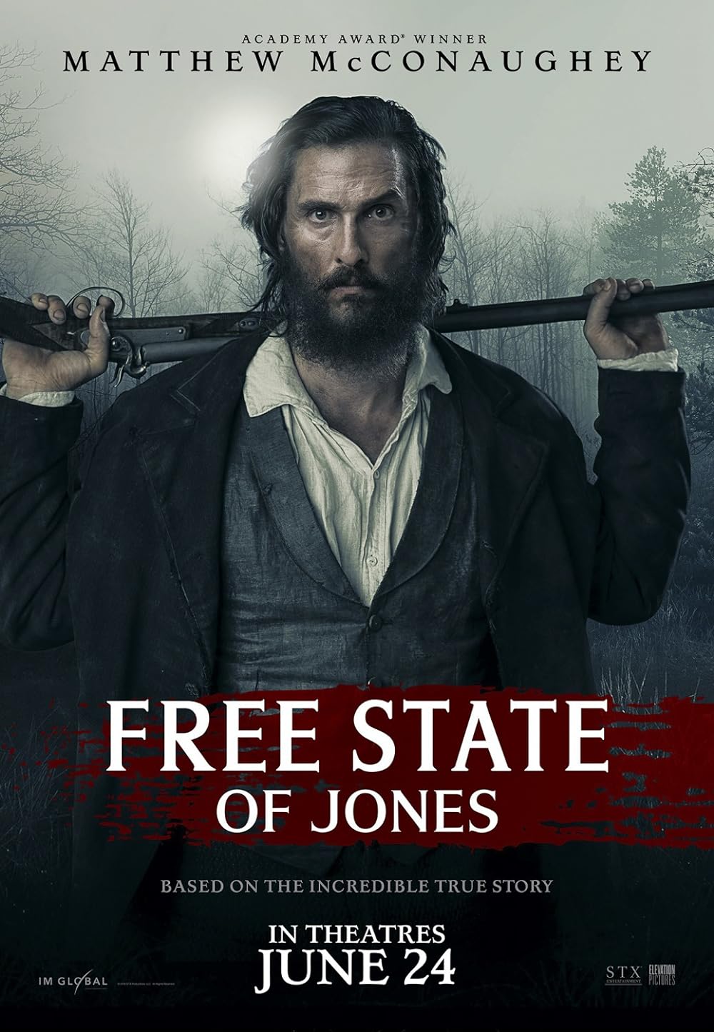 Free State of Jones (2016)