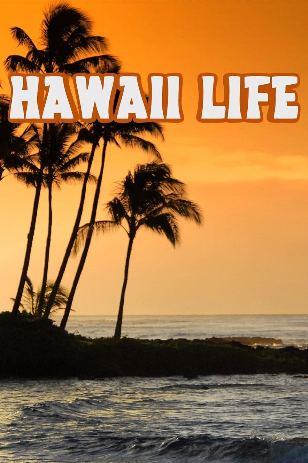 Hawaii Life (2013)