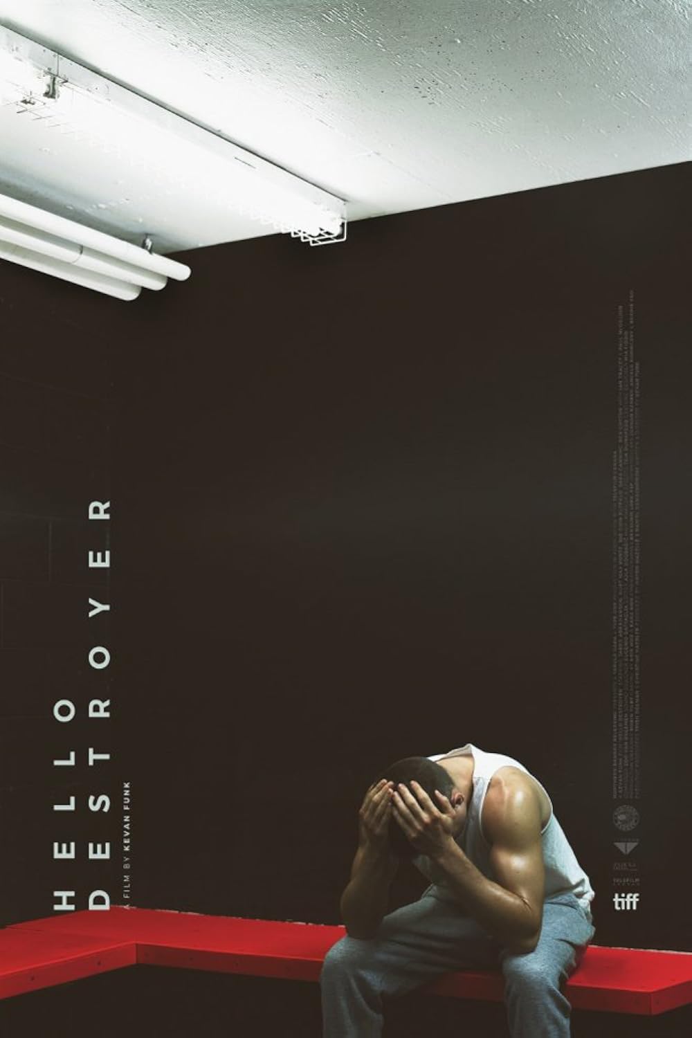 Hello Destroyer (2017)
