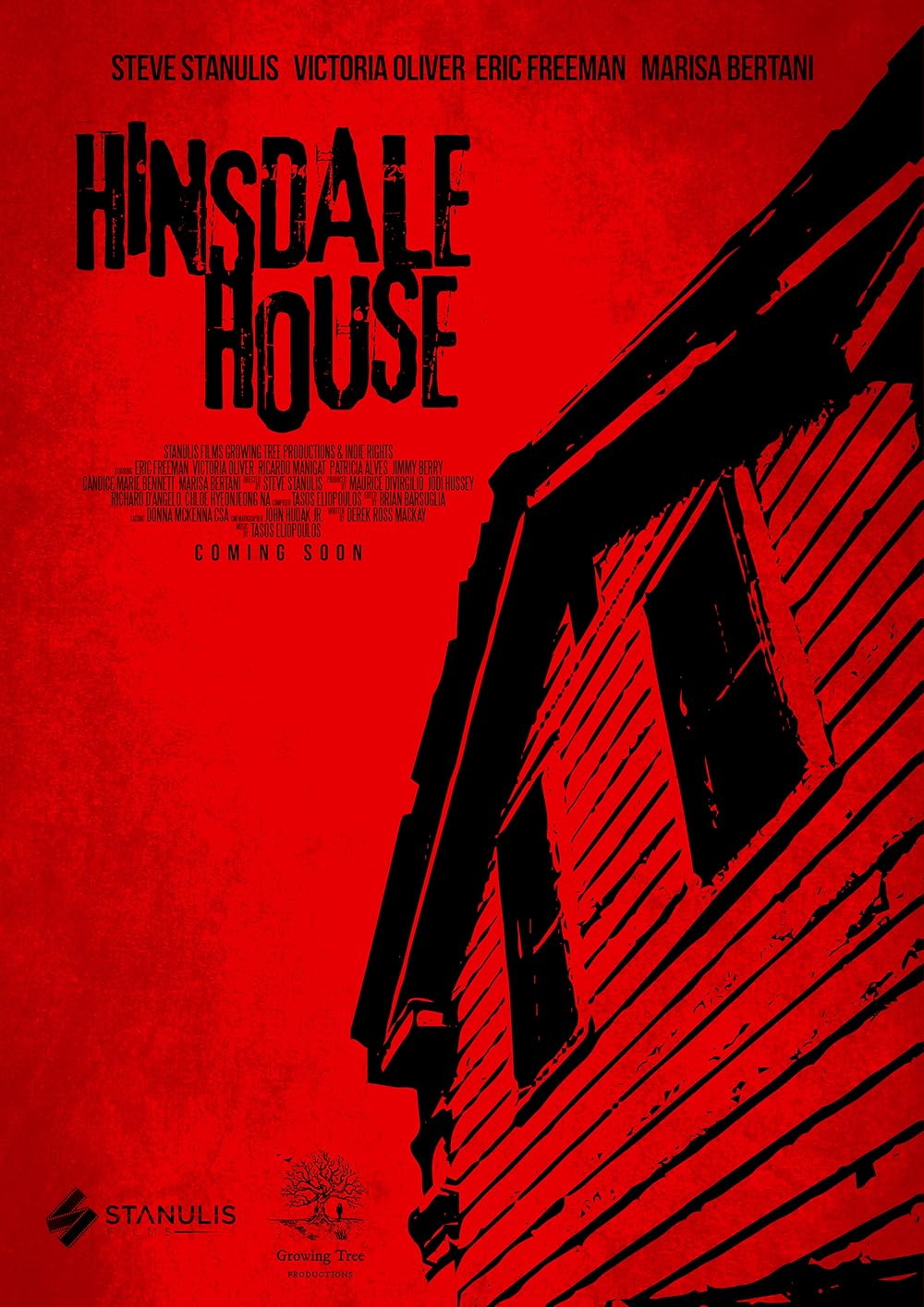 Hinsdale House (2019)