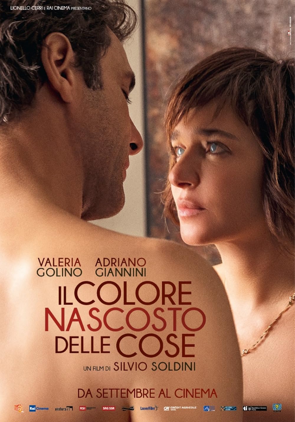Il colore nascosto delle cose (2017)