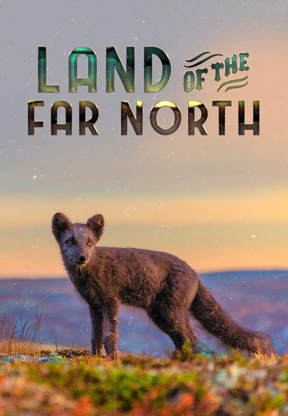 Land of the Far North (2020)