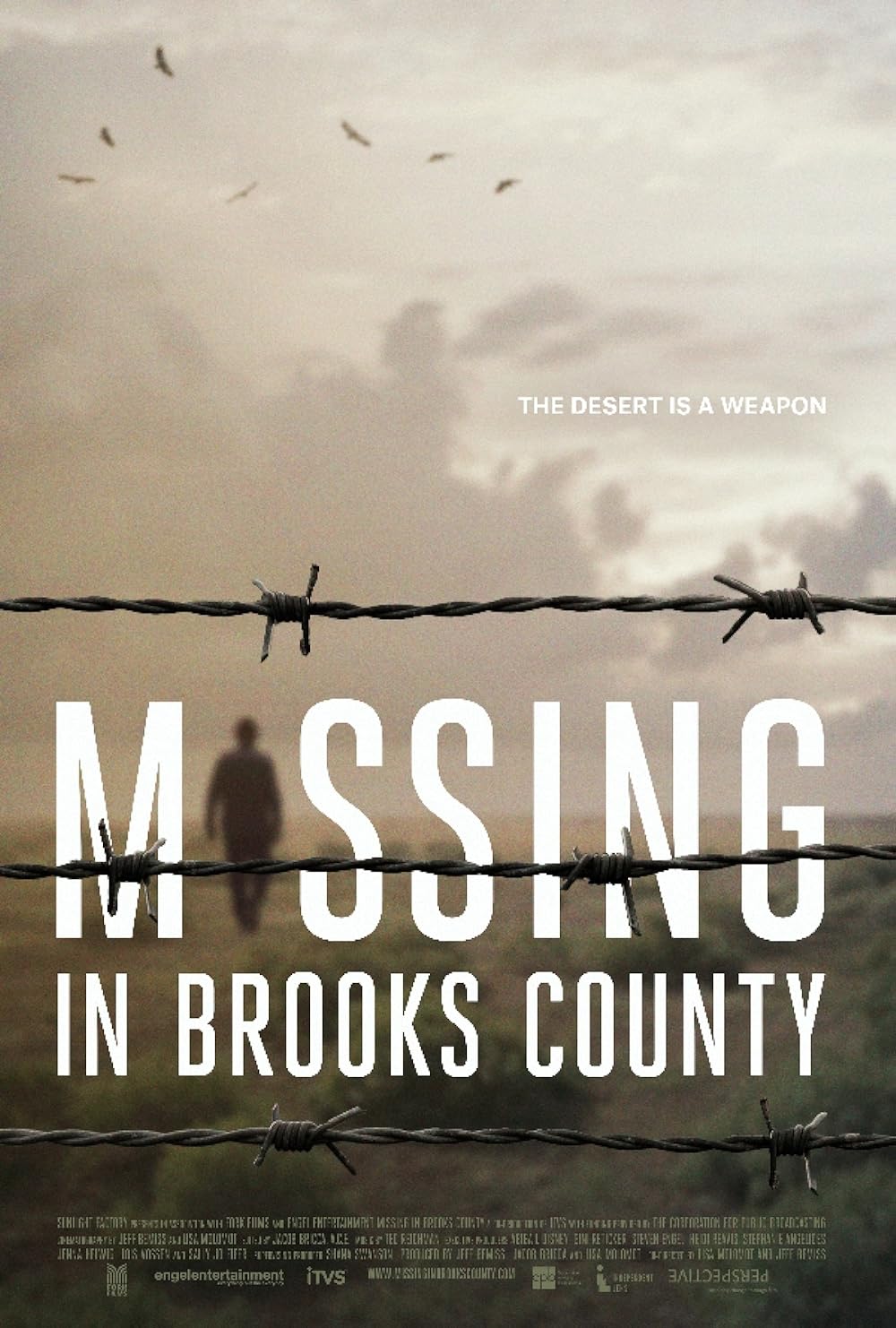 Missing in Brooks County (2021)