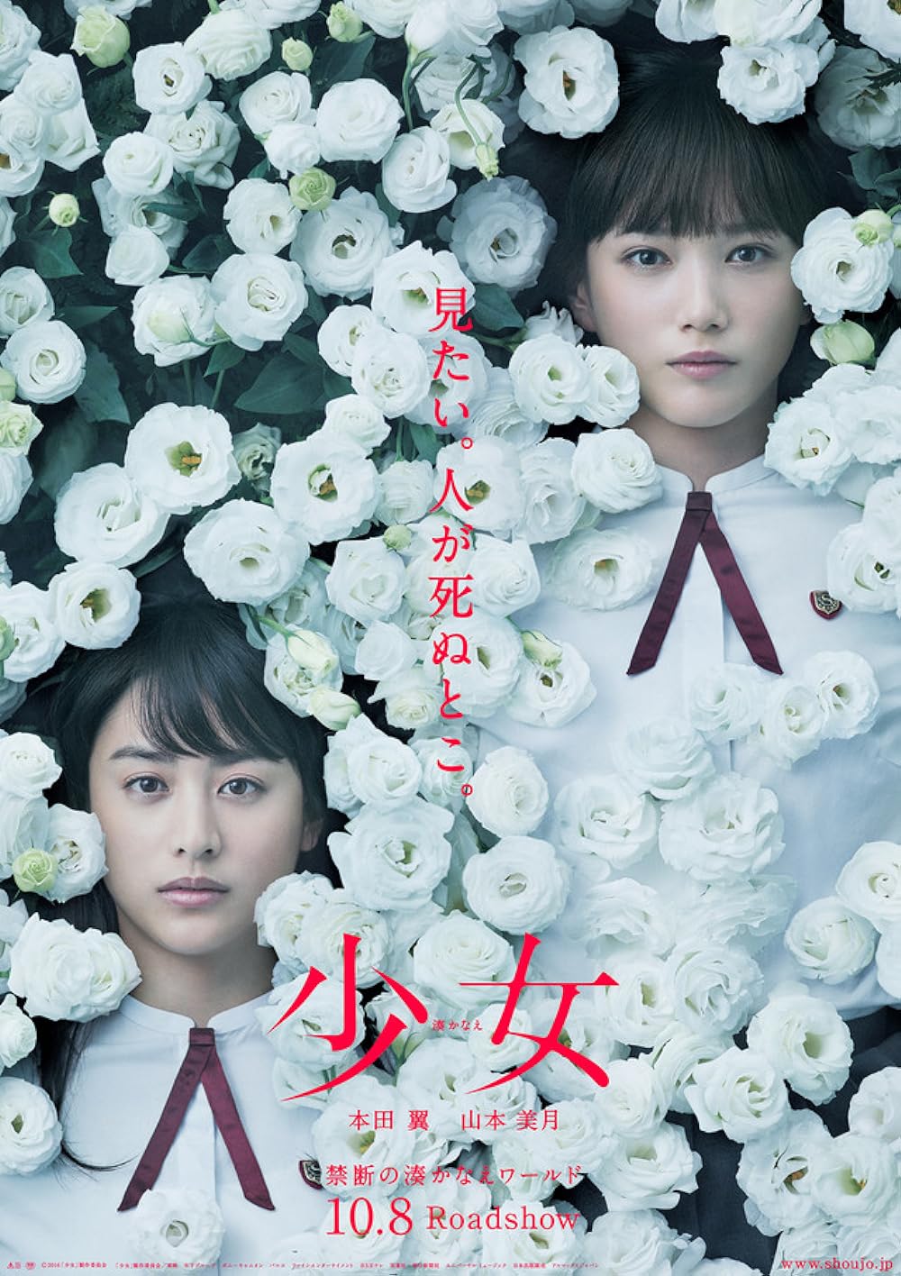 Night's Tightrope (2016)