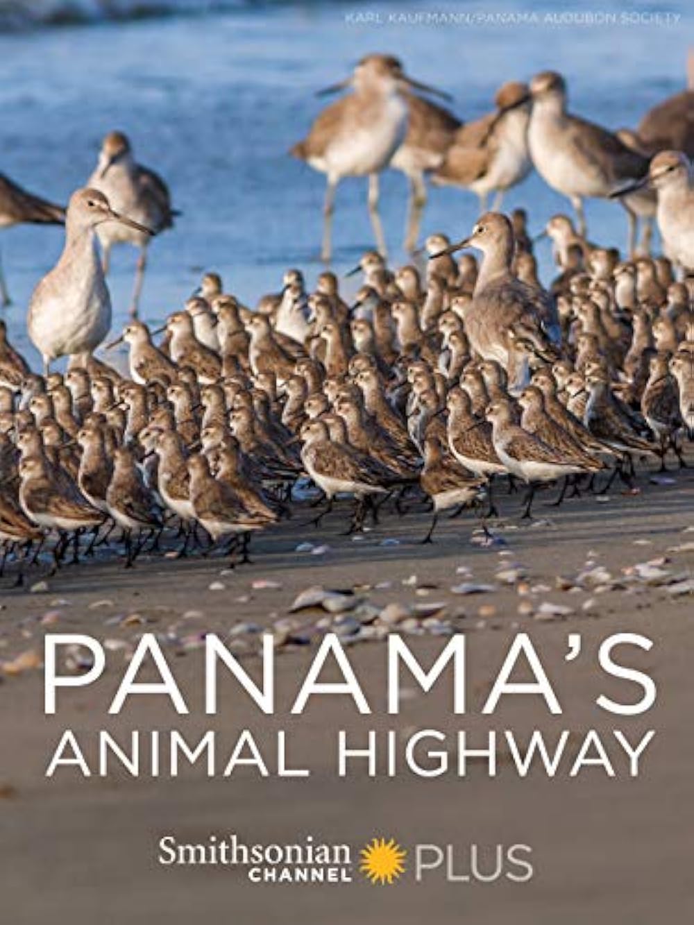 Panama's Animal Highway (2017)