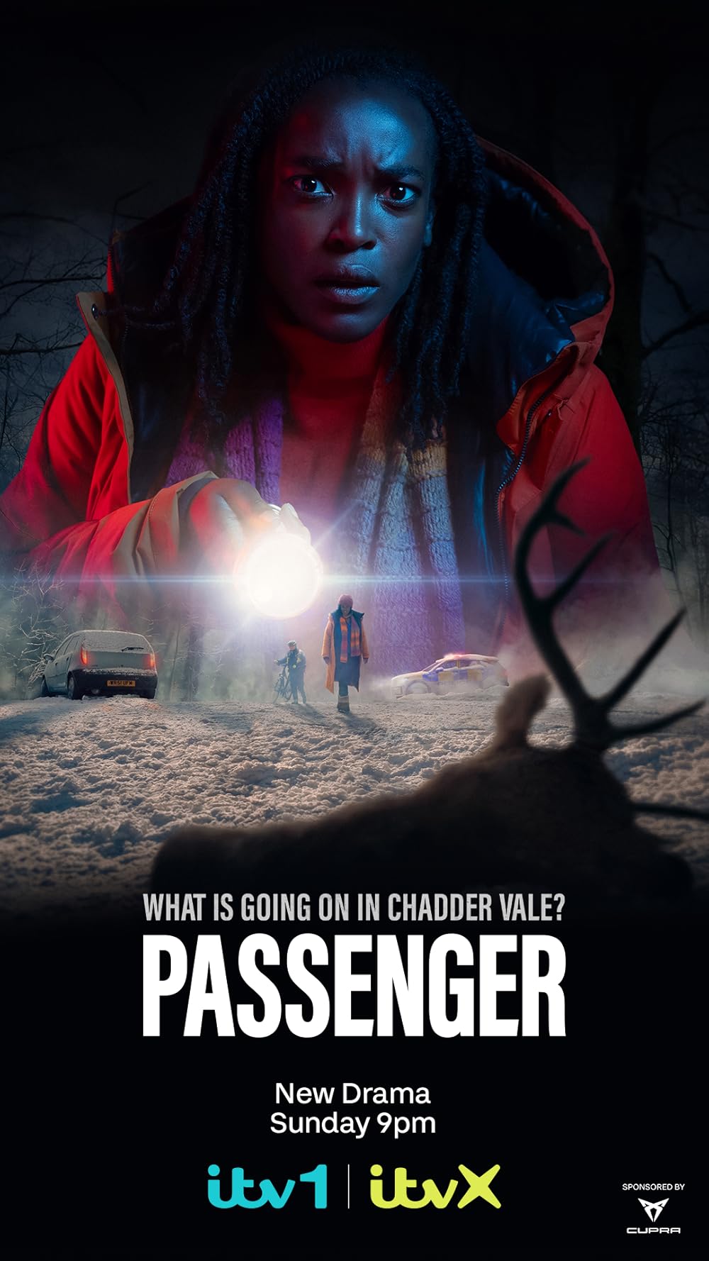 Passenger (2024)