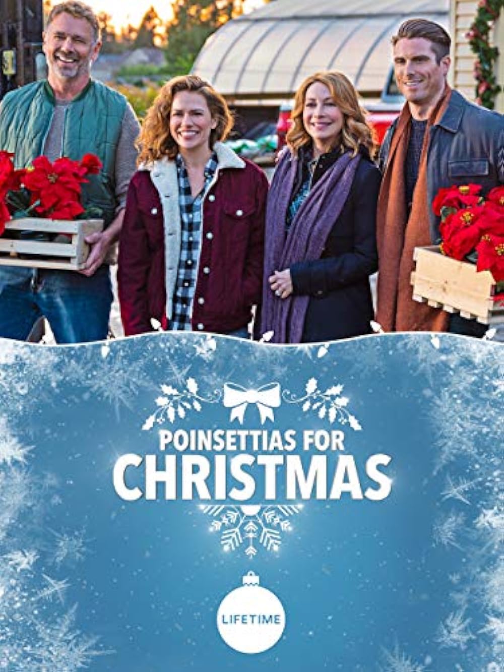 Poinsettias for Christmas (2018)