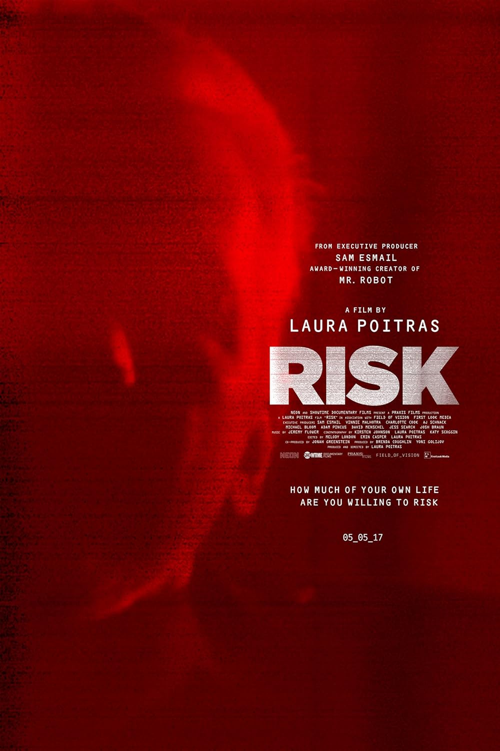 Risk (2017)