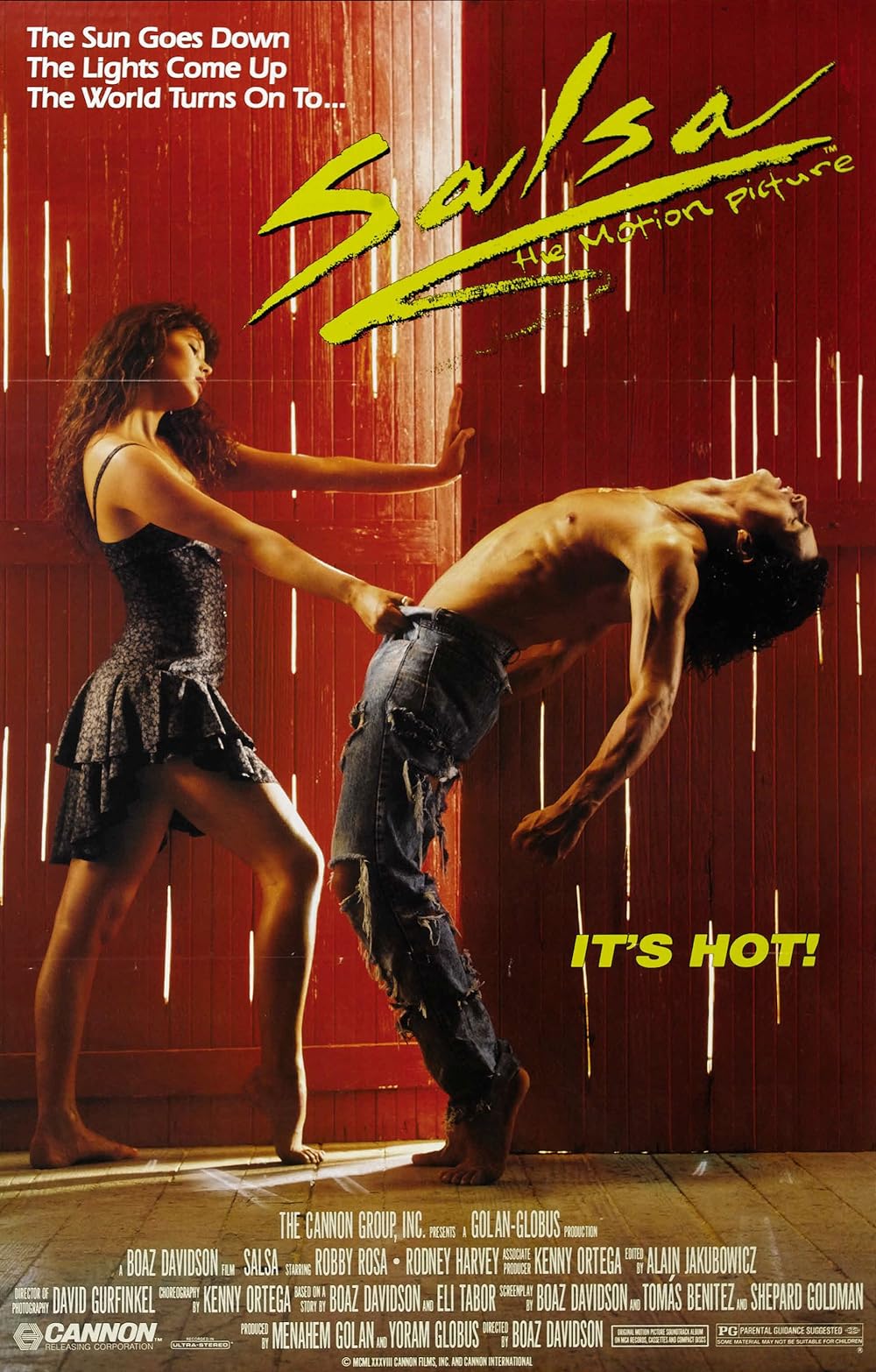 Salsa (1988)
