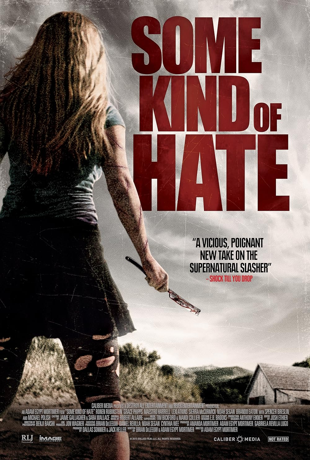 Some Kind of Hate (2015)