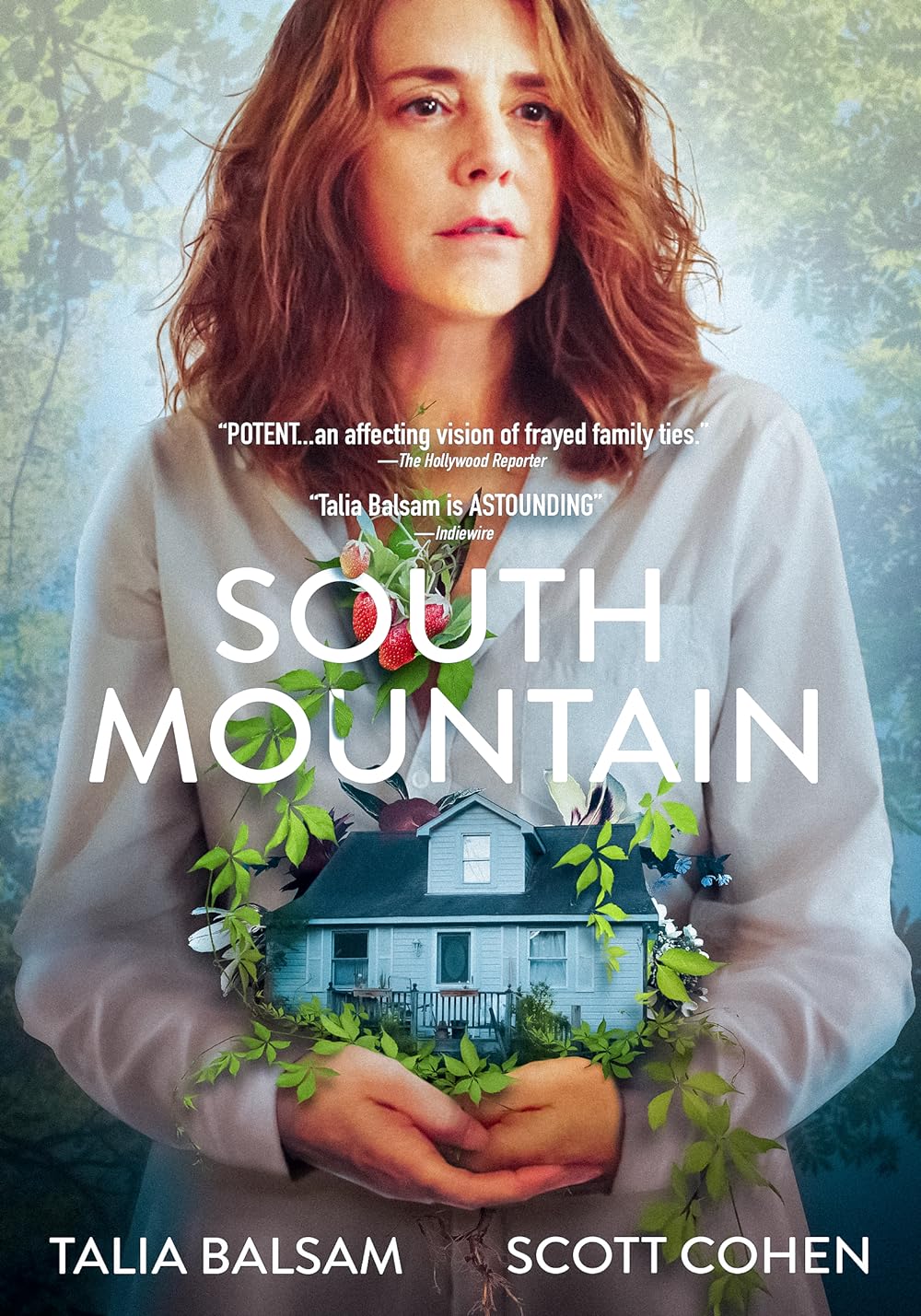 South Mountain (2019)