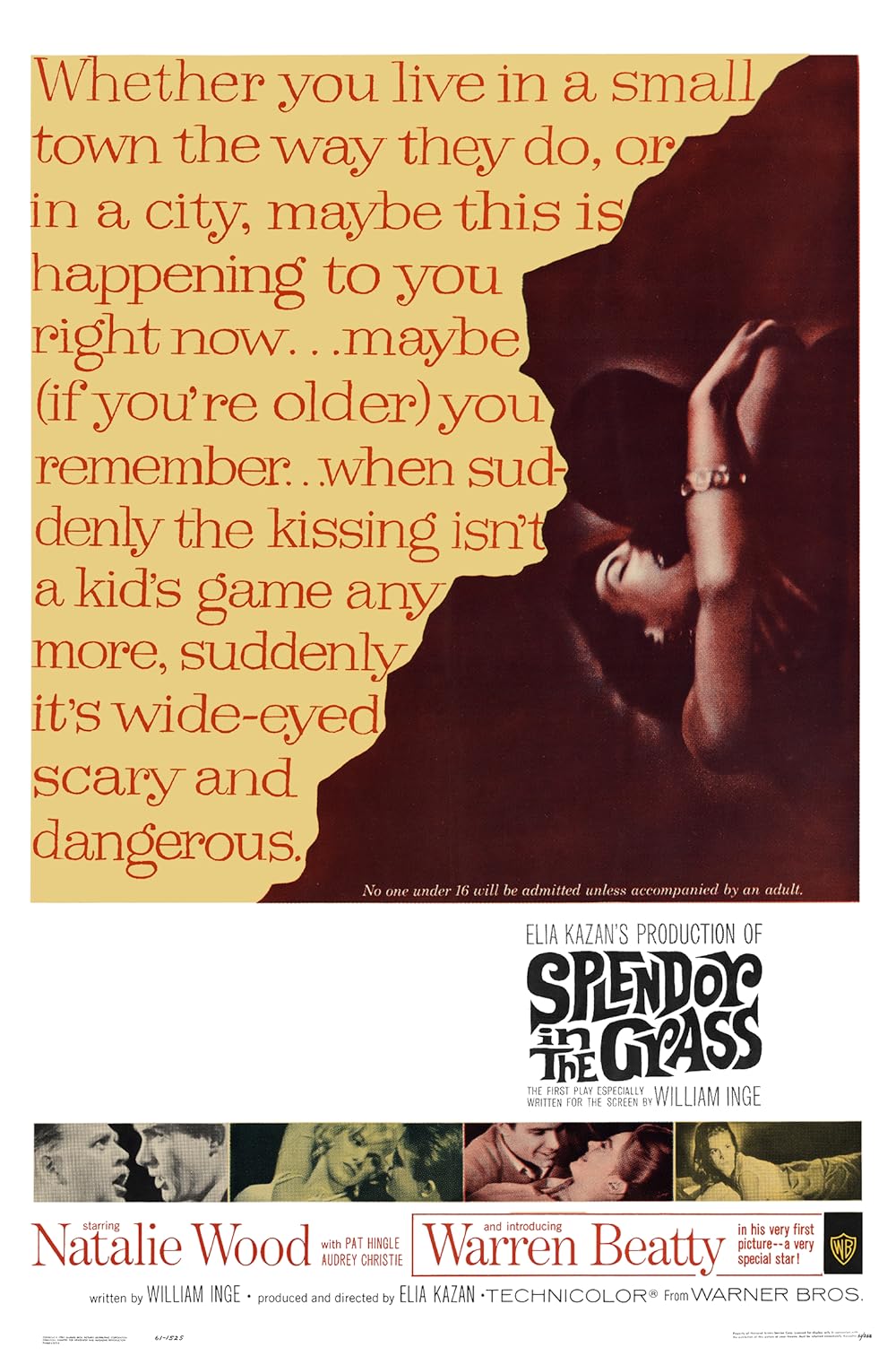 Splendor in the Grass (1961)