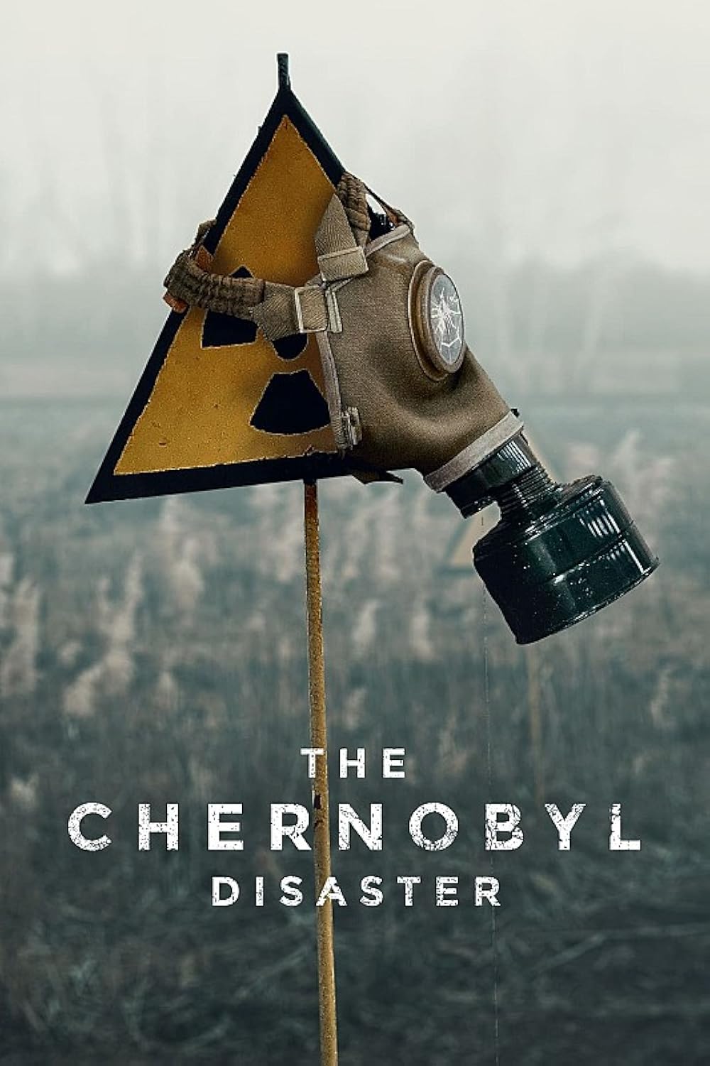 The Chernobyl Disaster (2022)