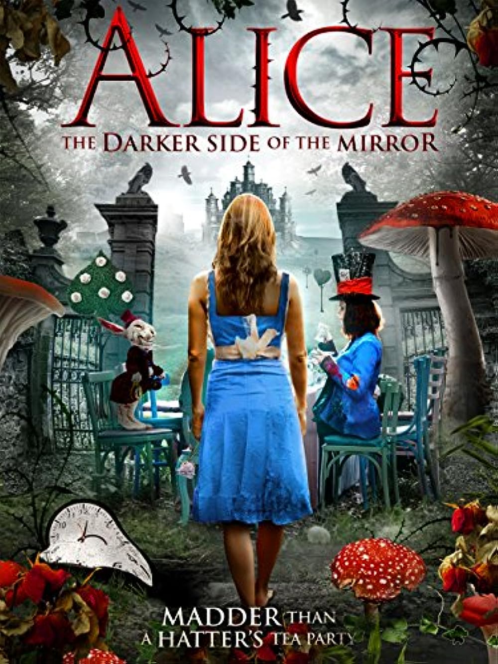 The Other Side of the Mirror (2016)