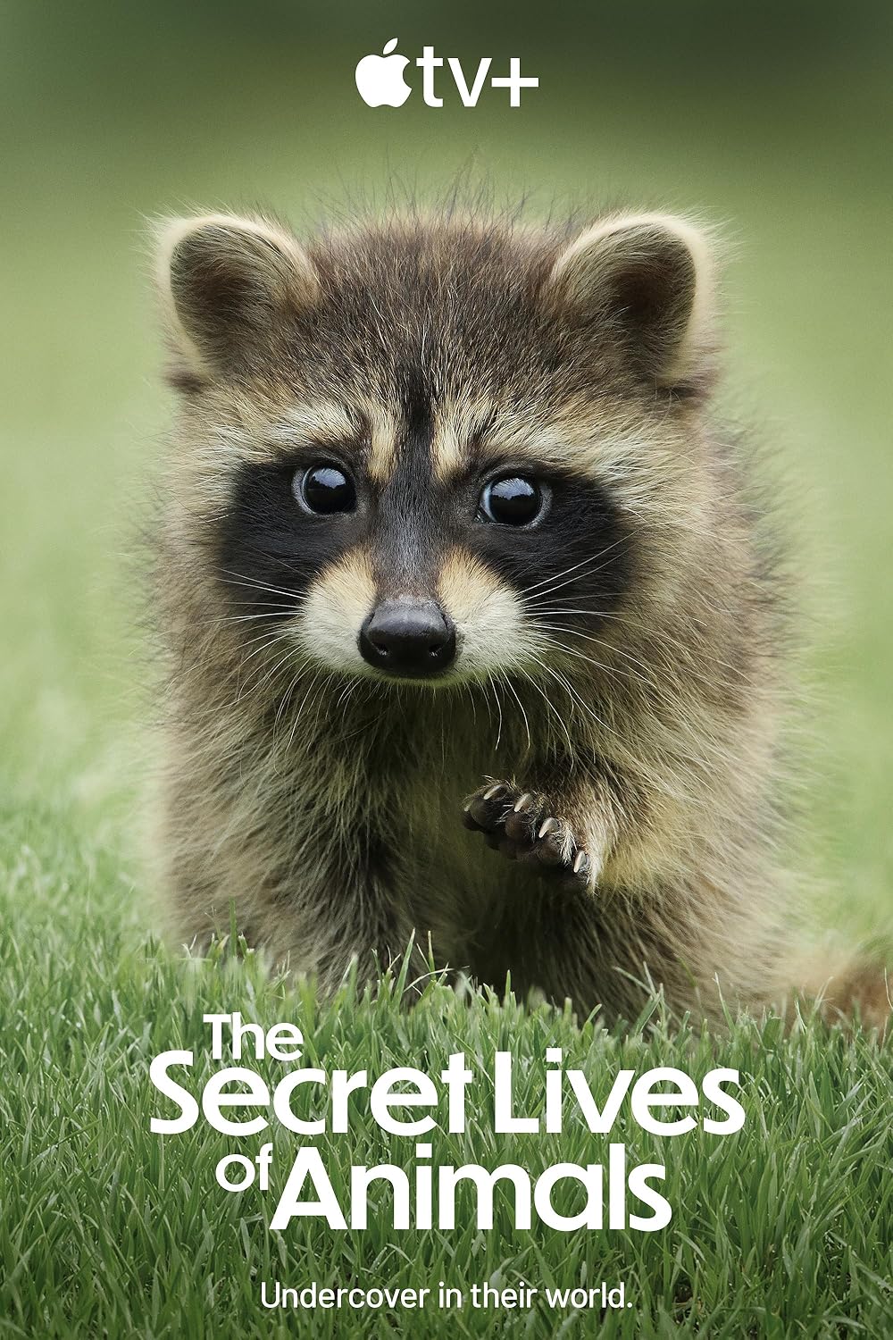The Secret Lives of Animals (2024)