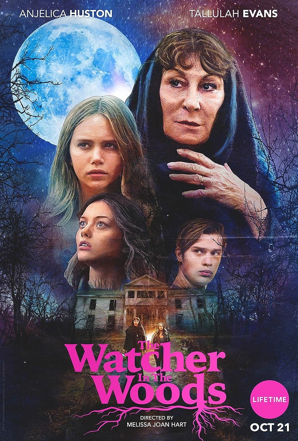 The Watcher in the Woods (2017)