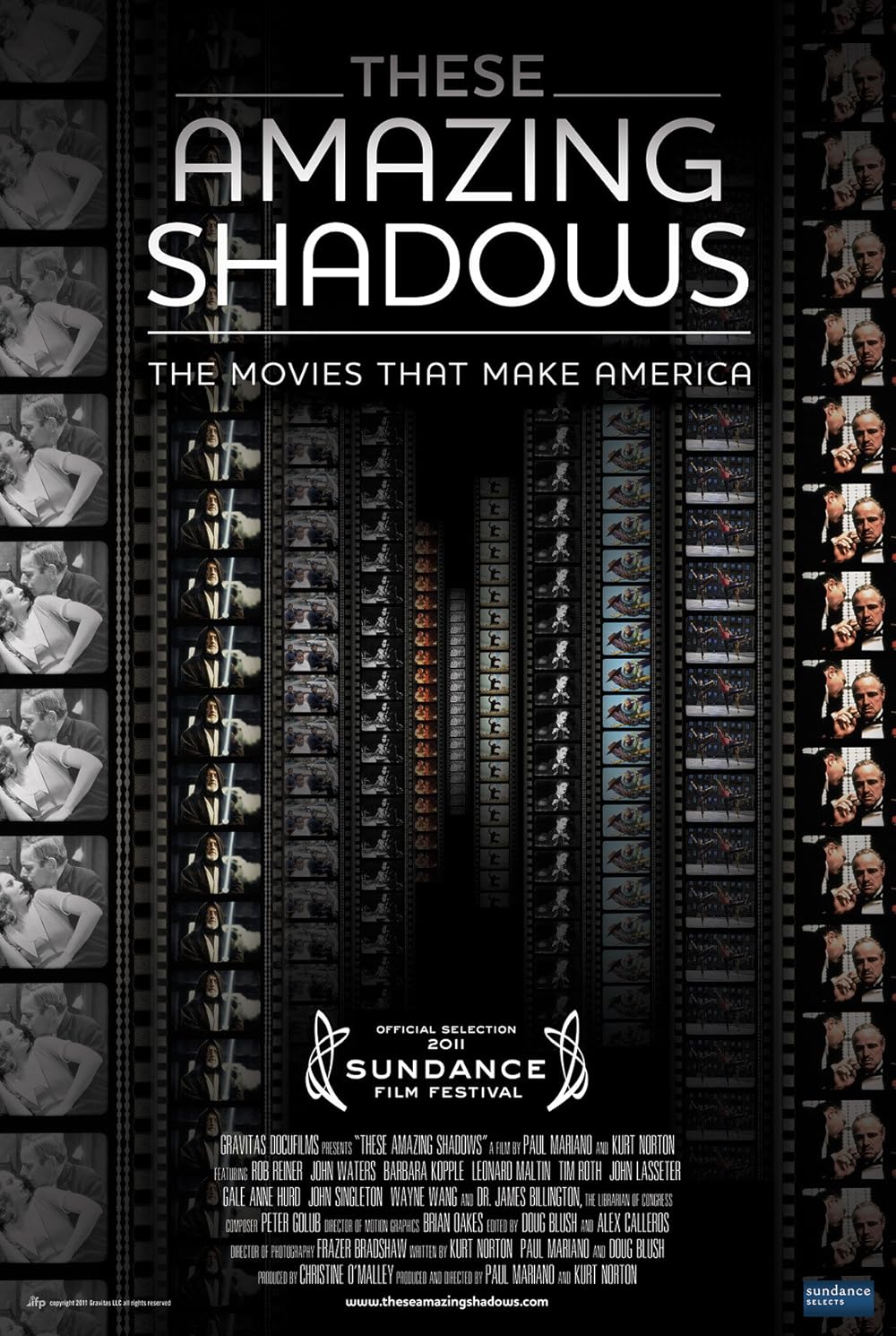 These Amazing Shadows (2011)